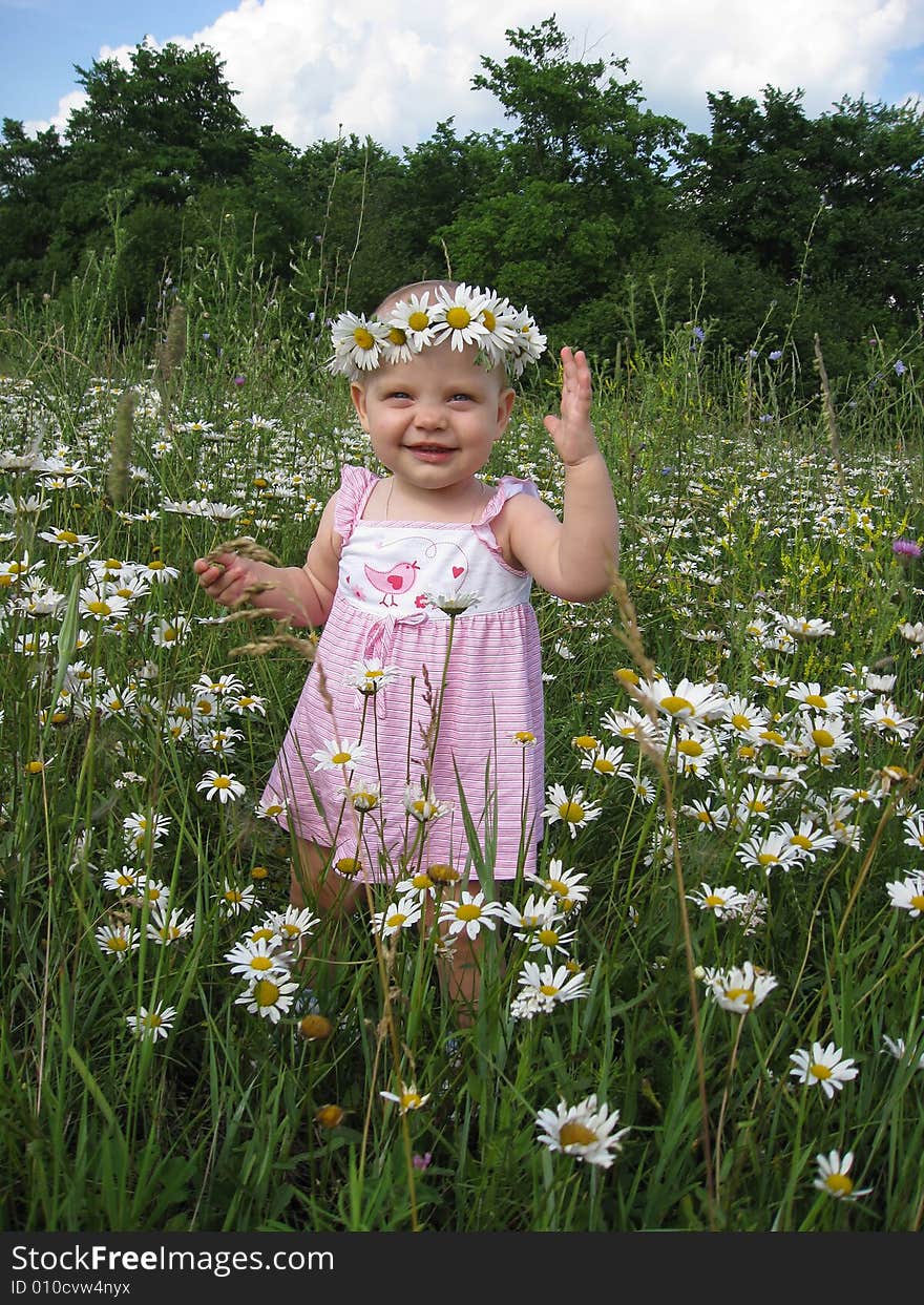 Little girl on summer meadow of camomiles. Little girl on summer meadow of camomiles