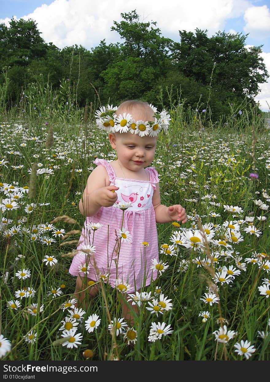 Little girl on summer meadow of camomiles. Little girl on summer meadow of camomiles