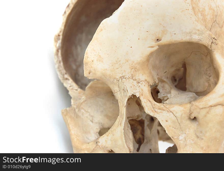 Old broken skull against white background