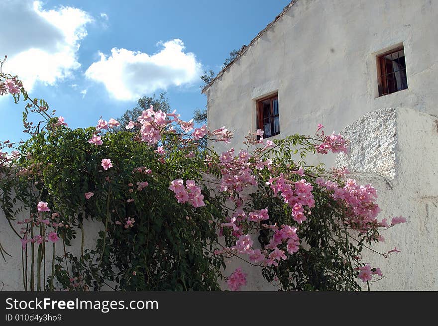 Village house with flowering plants