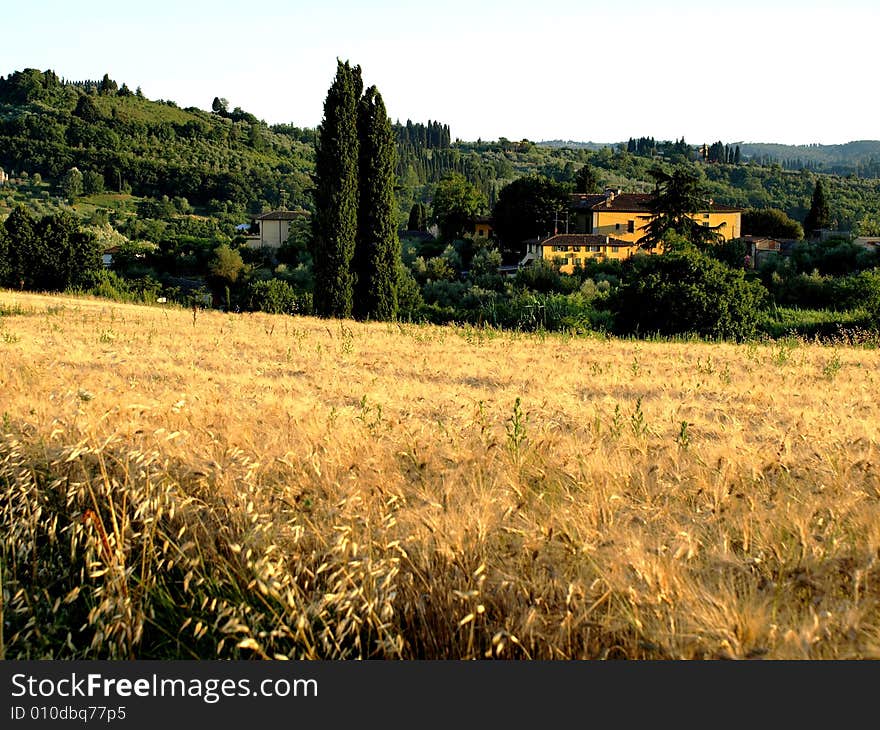 Tuscany landscape