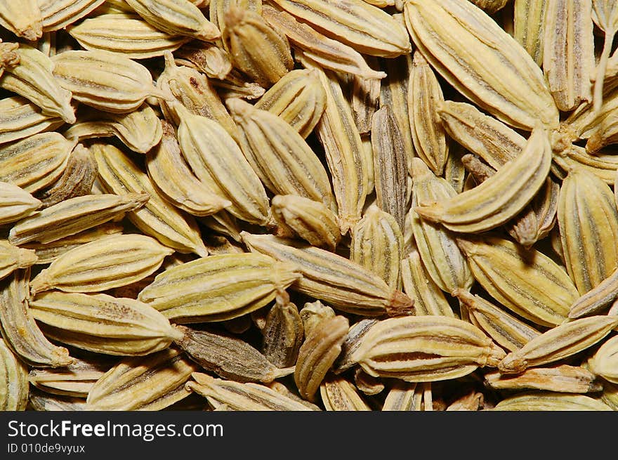 Fennel Seeds Macro