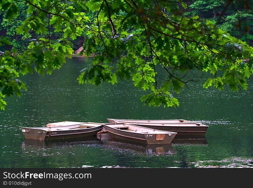 Row Boats