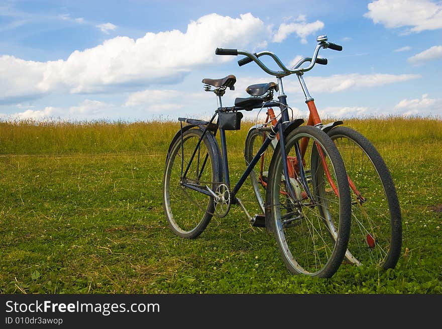 Old bicycles stand on a grass