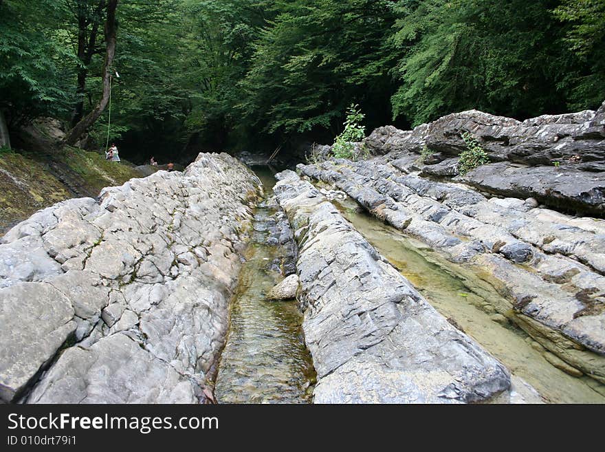 Mountain river on background year wood. Mountain river on background year wood