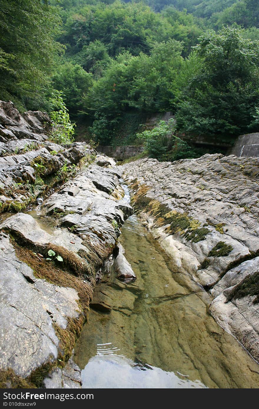 Mountain river on background year wood. Mountain river on background year wood