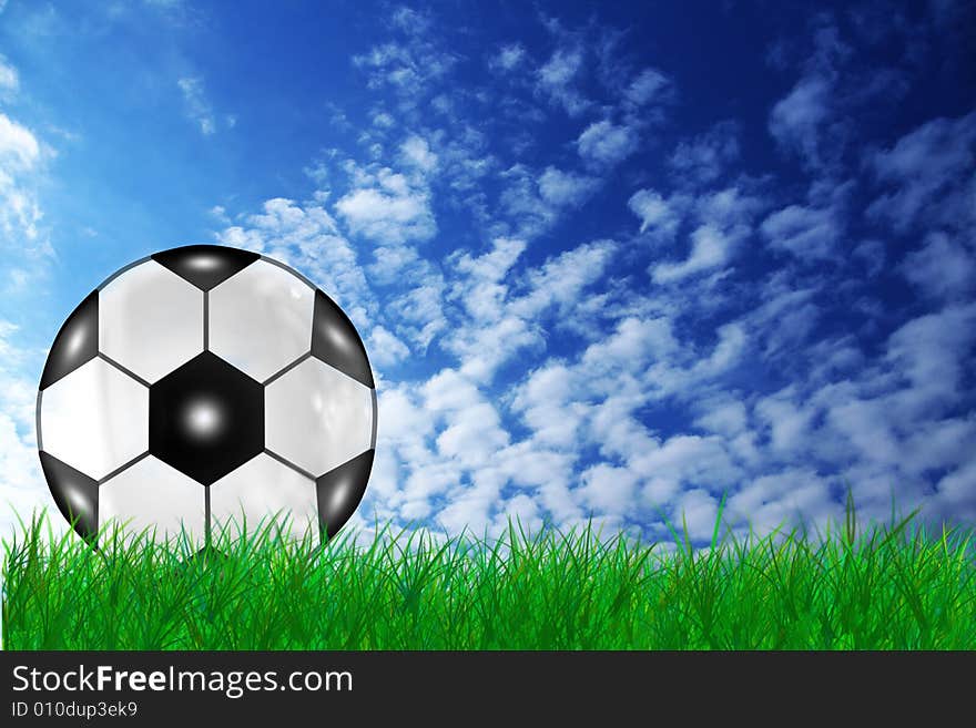 A soccer ball in the grass