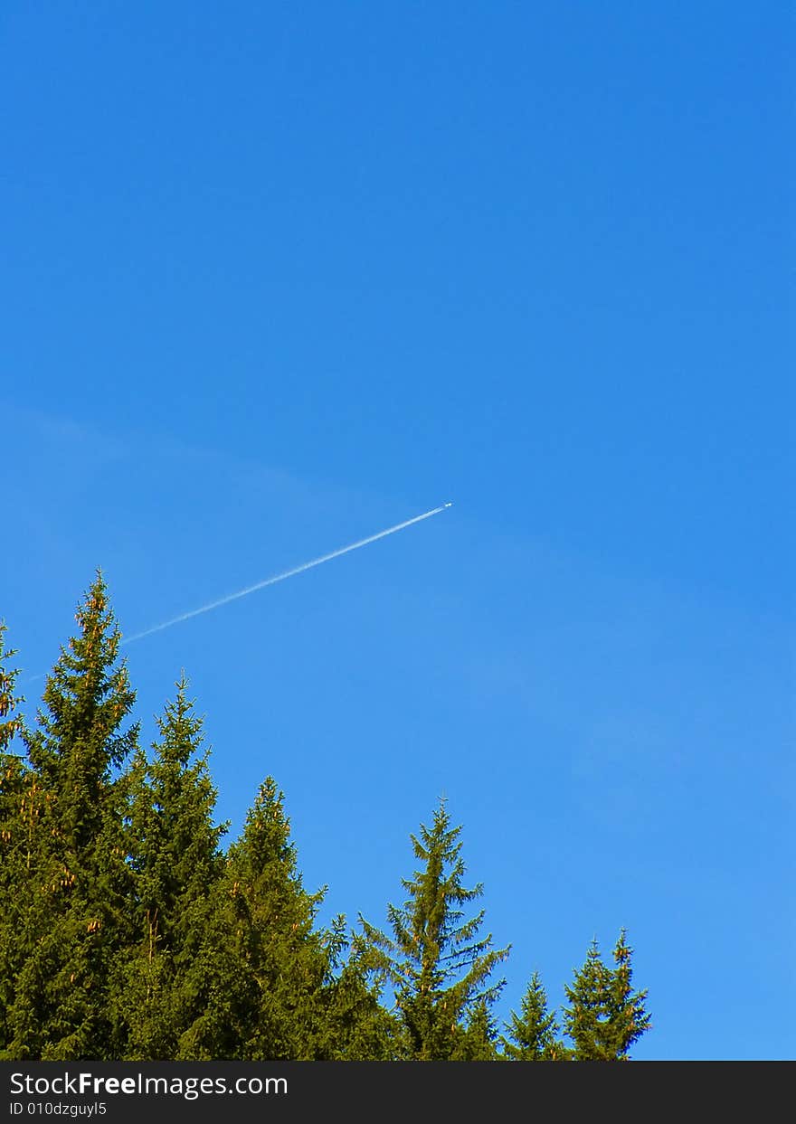 Forest and sky