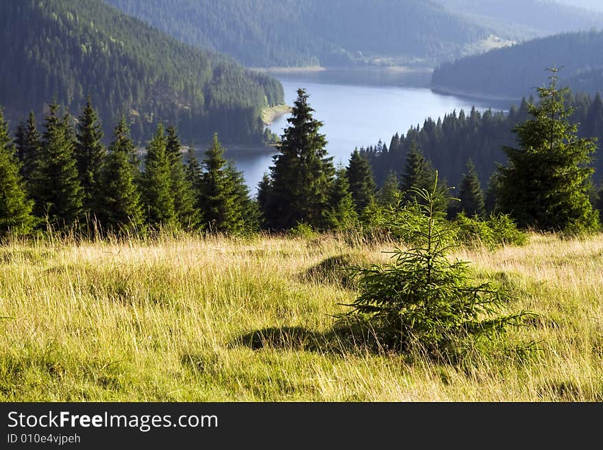 Firs and lake is the mounatains. Firs and lake is the mounatains