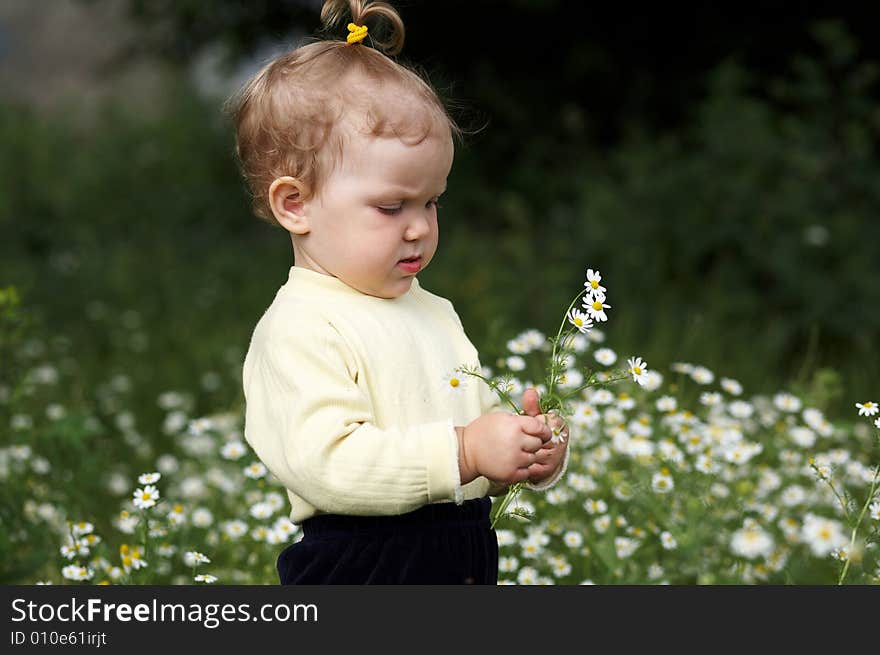 Baby girl amongst a field with flowers. Baby girl amongst a field with flowers