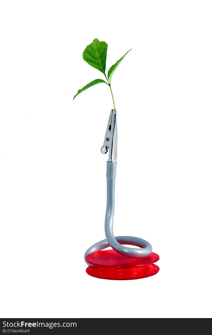 Desk mini-stand with tongs holding a single, green leaf. White background. Desk mini-stand with tongs holding a single, green leaf. White background