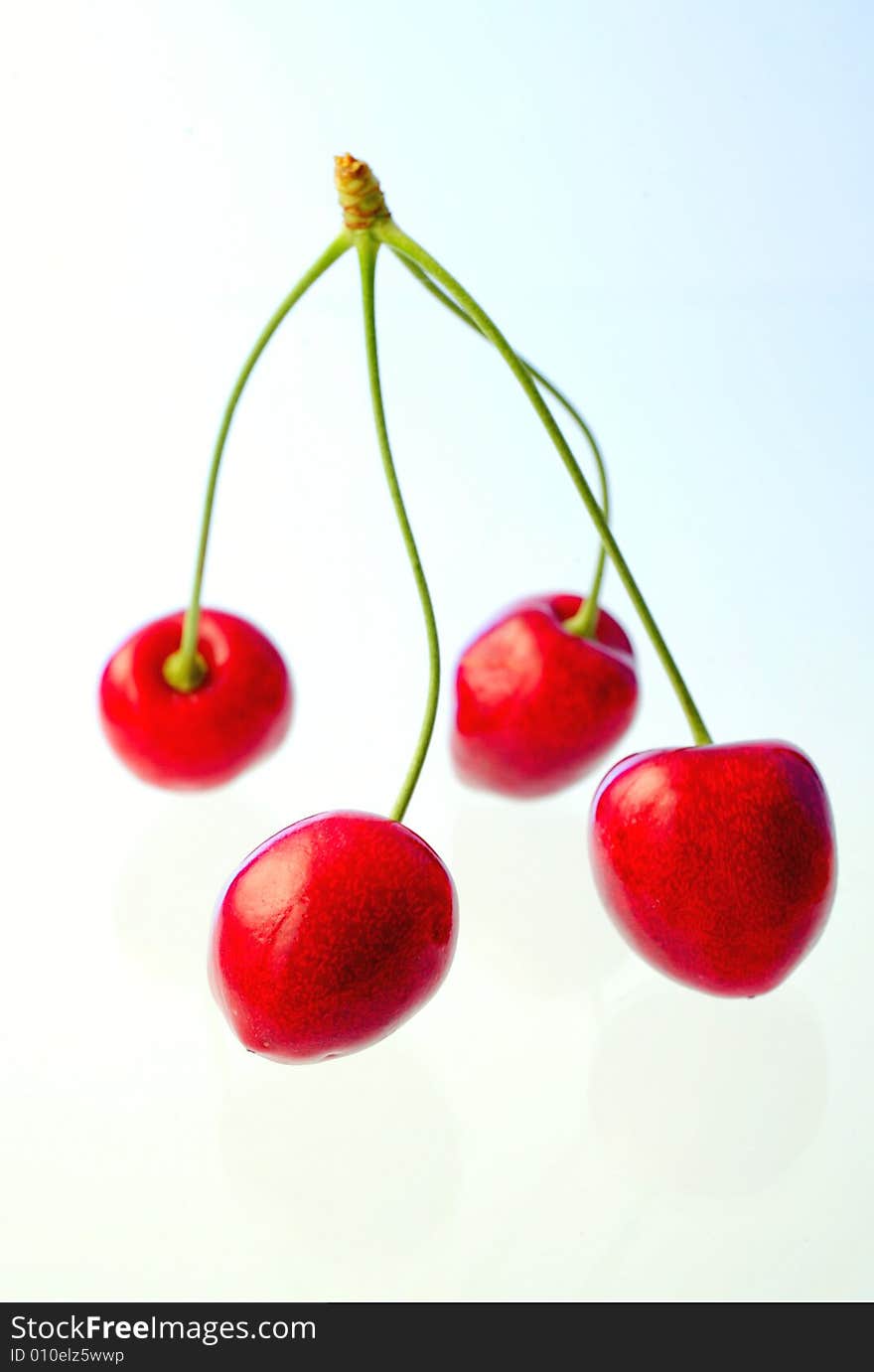 Cherries on white background