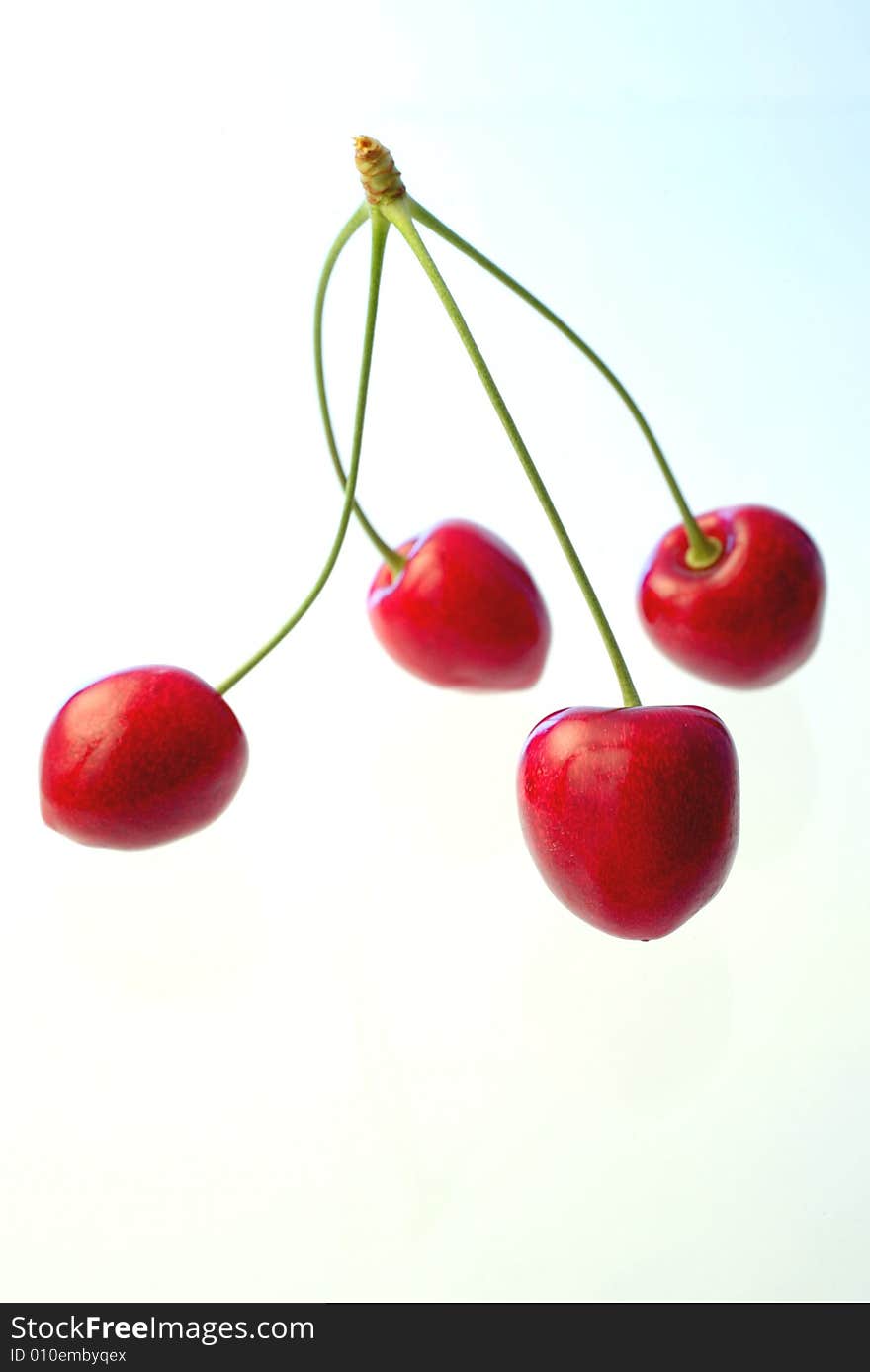 Ripe cherries on white background