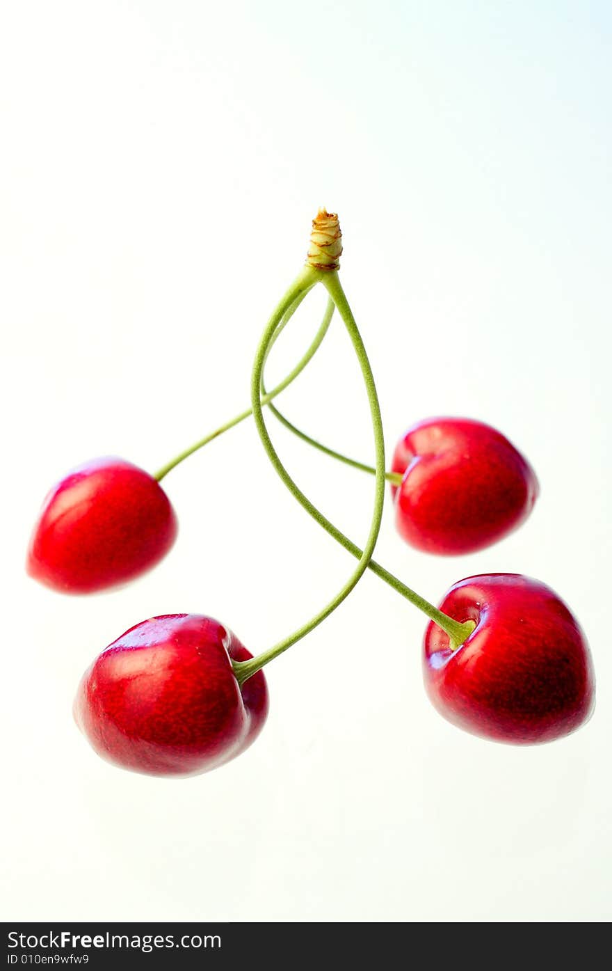 Ripe cherries on white background