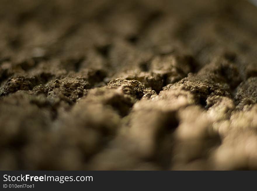 Textured brown tree bark with low focus distance. Textured brown tree bark with low focus distance