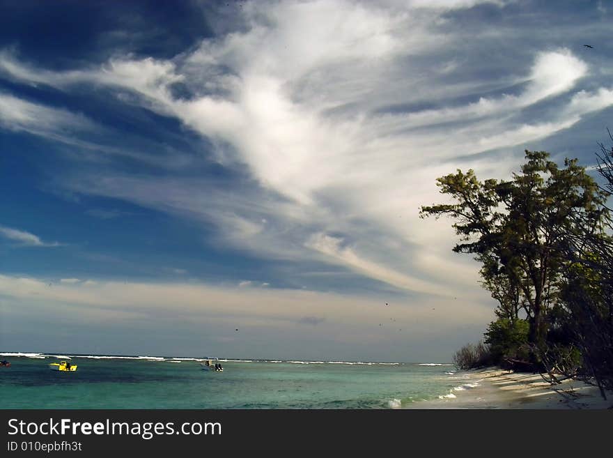 Morning on wild tropical coast