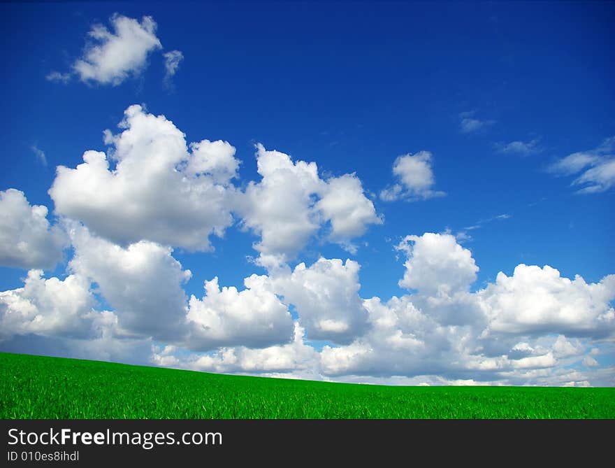 Field on a background of the blue sky. Field on a background of the blue sky