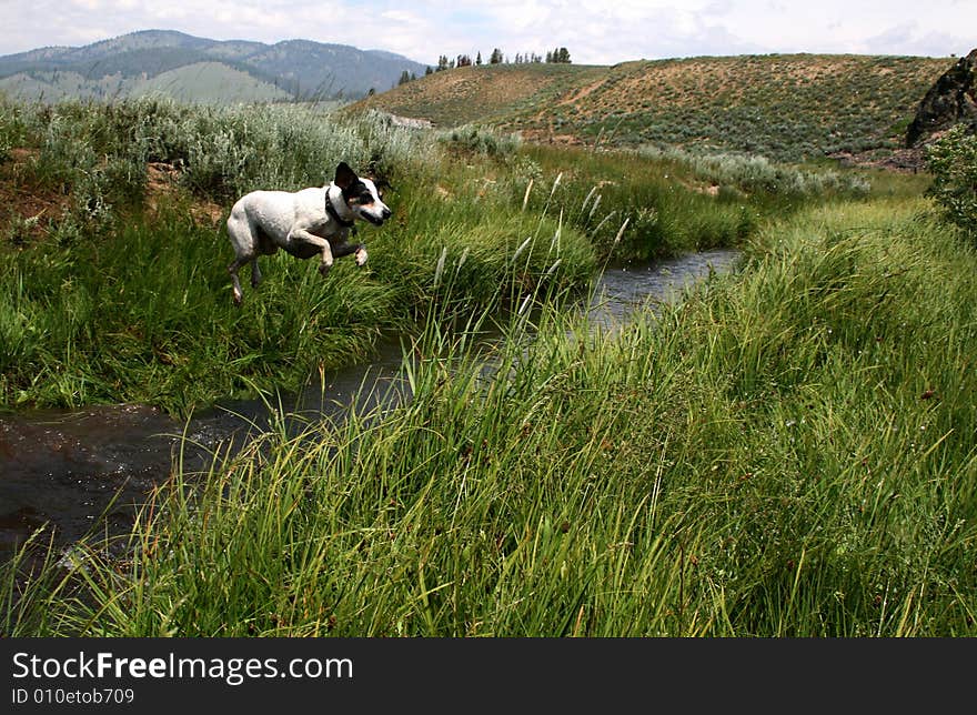 Creek Jumpin  Jack 3