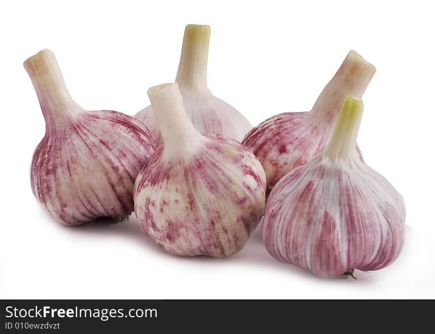 Garlic Group