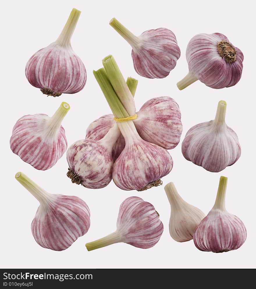 Garlic group on the white background. Garlic group on the white background