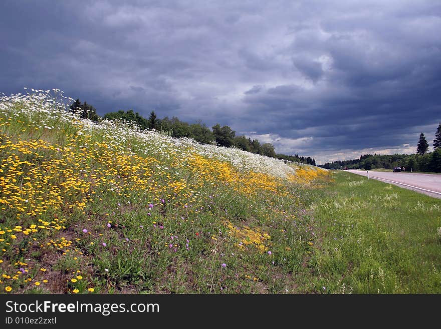 Blossoming summer meadow at road before a rain