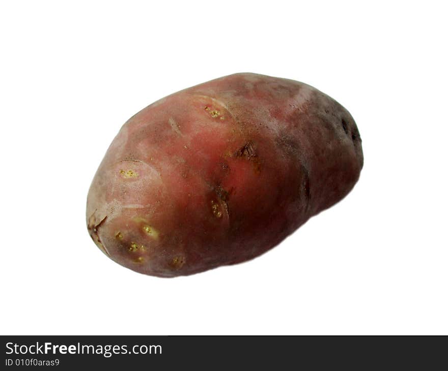 Potato in the white background