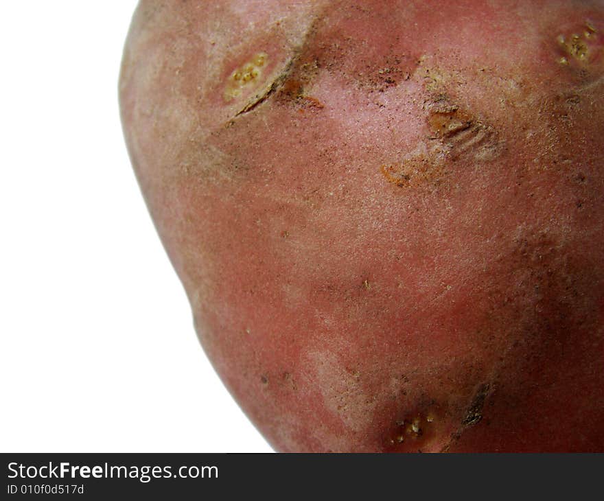 Potato in the white background