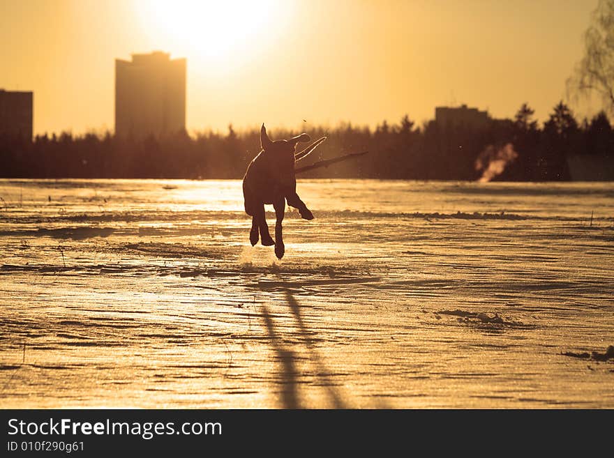 Fly over snow field