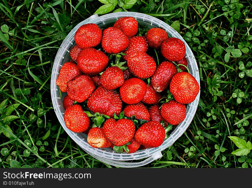 Strawberries On The Background