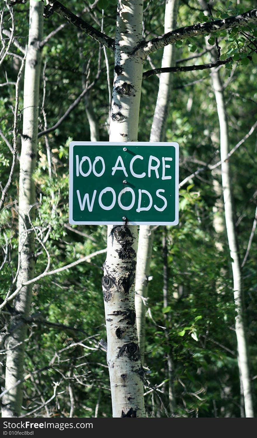 100 Acre Woods sign posted on a birch tree