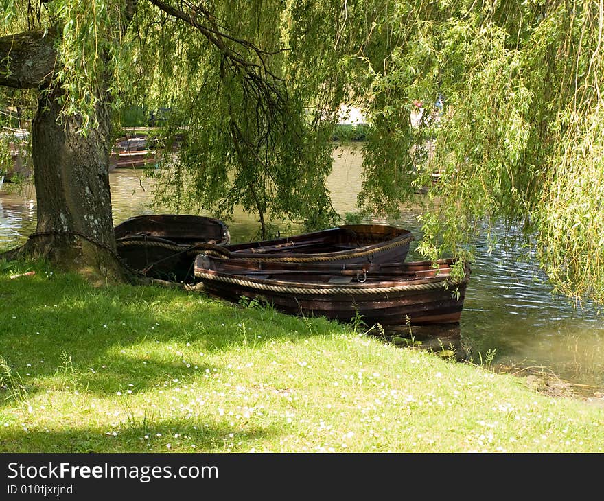 Rowing boats under a tree