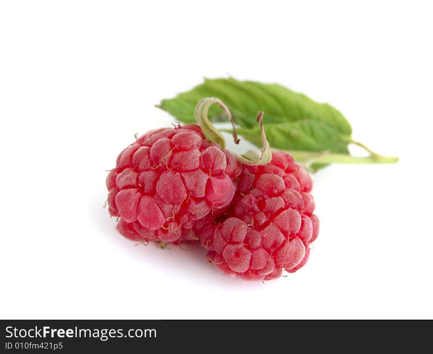 Close-up of raspberry