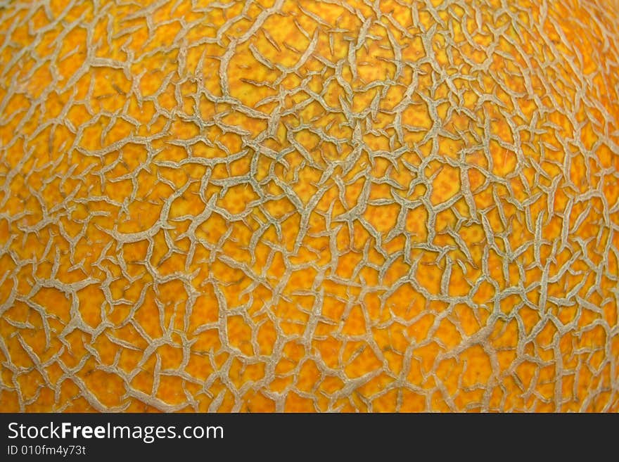 Close-up of gold wrinkled melon's surface. Close-up of gold wrinkled melon's surface