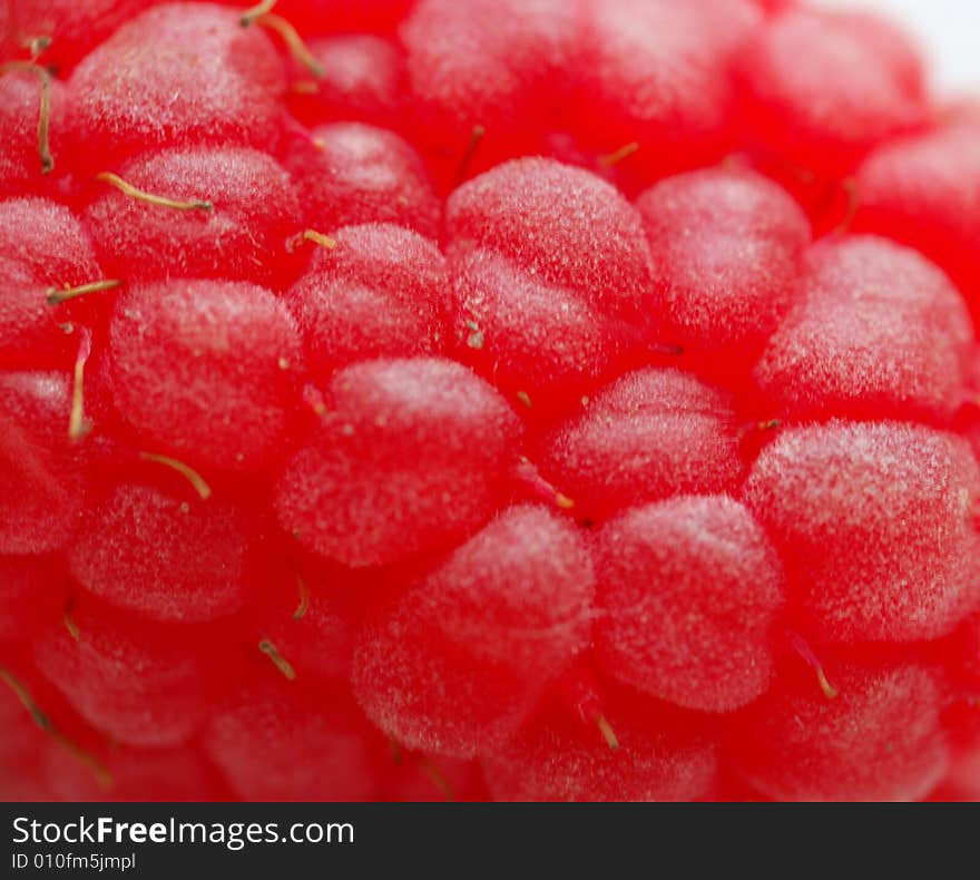 Macro Of Raspberry