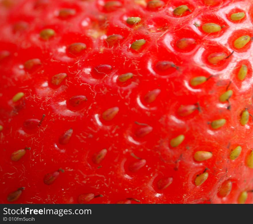 Macro of surfase of fresh strawberry. Macro of surfase of fresh strawberry