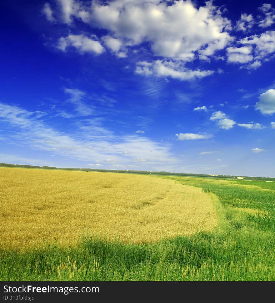 Summer landscape. blue sky and green grass.for your design. Summer landscape. blue sky and green grass.for your design