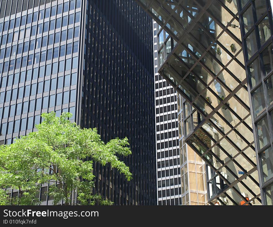 A selection of Corporate Office Windows.