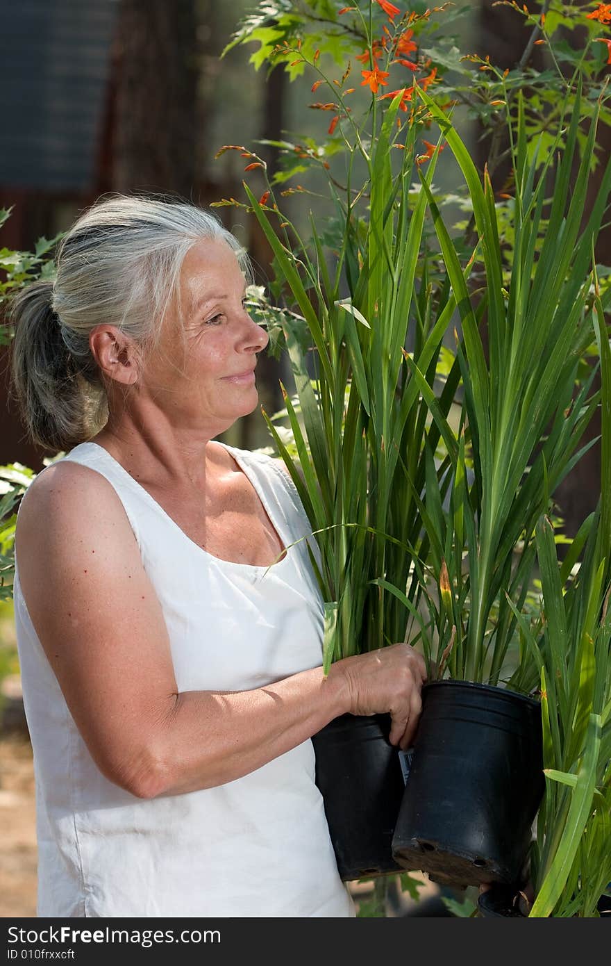 Portrait of attractive senior woman in garden. Portrait of attractive senior woman in garden