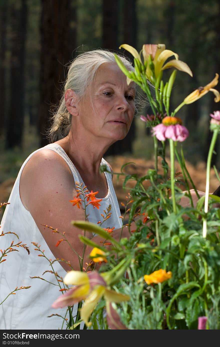 Portrait of attractive senior woman in garden. Portrait of attractive senior woman in garden