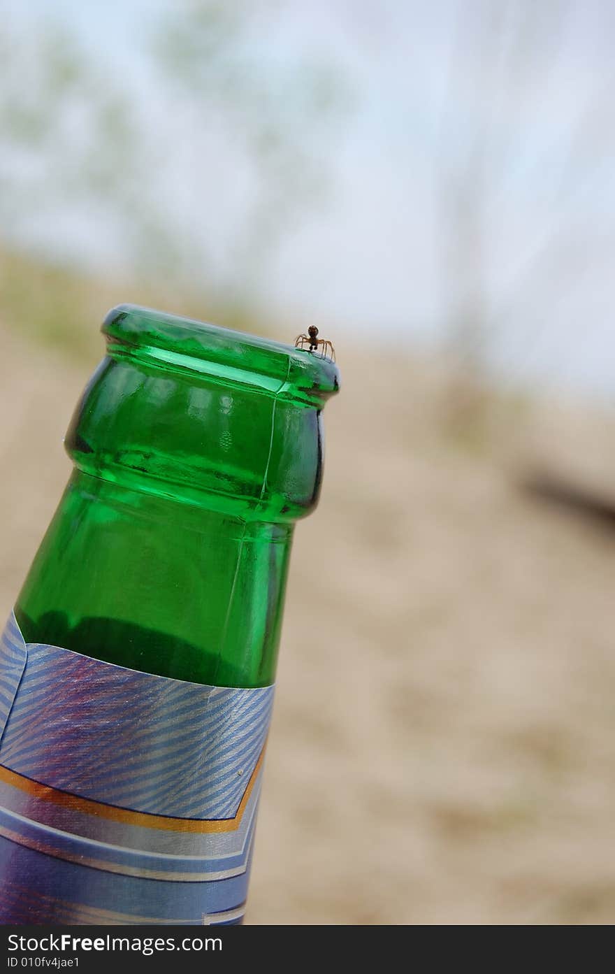 Small spider on a green glass bottle. Small spider on a green glass bottle