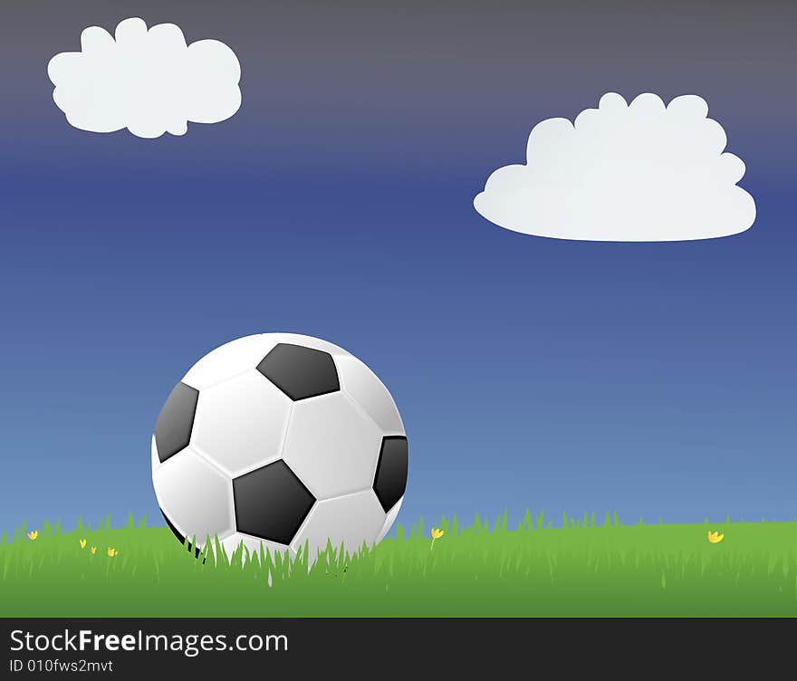 Soccer ball/Football in a green grassy field. Soccer ball/Football in a green grassy field