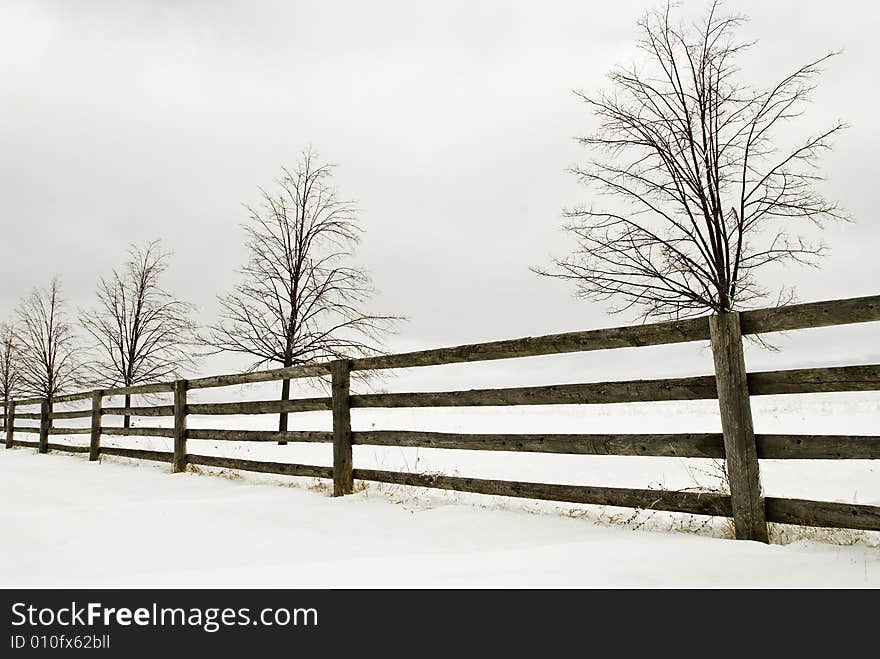 Winter scene