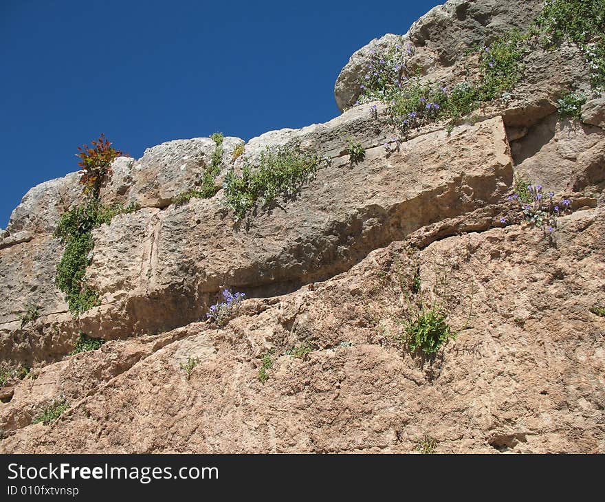 Delphi, Greece - Ancient Walls and Wildflowers