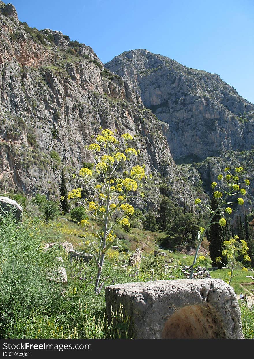 This image of the ancient building stones and wildflowers, backdropped by the mountains at Delphi yields a very nice combination of color and texture. Having existed for thousands of years, this famous place - the center of the universe for the ancient civilization of the Greeks, rests high atop the mountain, near the gulf of Corinth and the Peloponnese in Greece. This image of the ancient building stones and wildflowers, backdropped by the mountains at Delphi yields a very nice combination of color and texture. Having existed for thousands of years, this famous place - the center of the universe for the ancient civilization of the Greeks, rests high atop the mountain, near the gulf of Corinth and the Peloponnese in Greece.