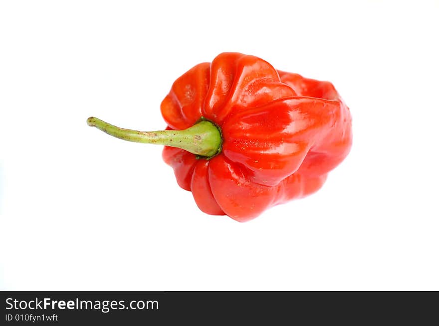 Hot Pepper