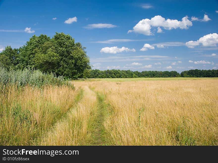 Road in a summer field, the beautiful sky with clouds above. Road in a summer field, the beautiful sky with clouds above