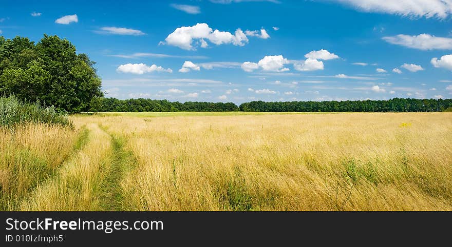 Panorama of road in a summer field, the beautiful sky with clouds above. Panorama of road in a summer field, the beautiful sky with clouds above