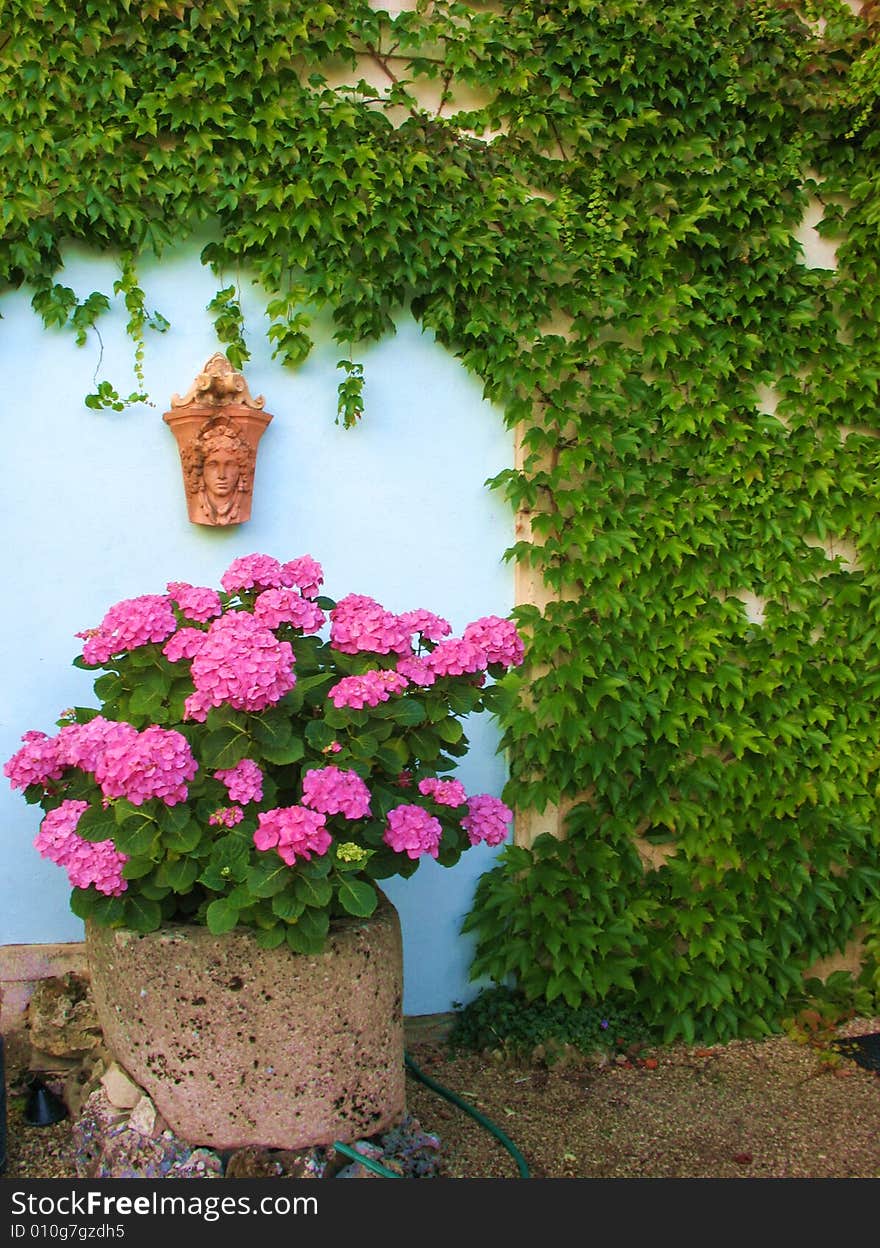 Small portrait of a woman is hanging on blue wall. Bouguet of nice rose flowers is placing foregrong. Small portrait of a woman is hanging on blue wall. Bouguet of nice rose flowers is placing foregrong.