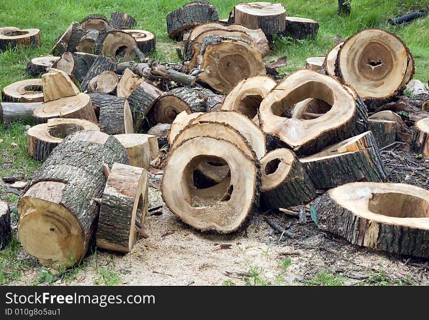 Sawn wood for firewood. Stumps with hollows on the grass