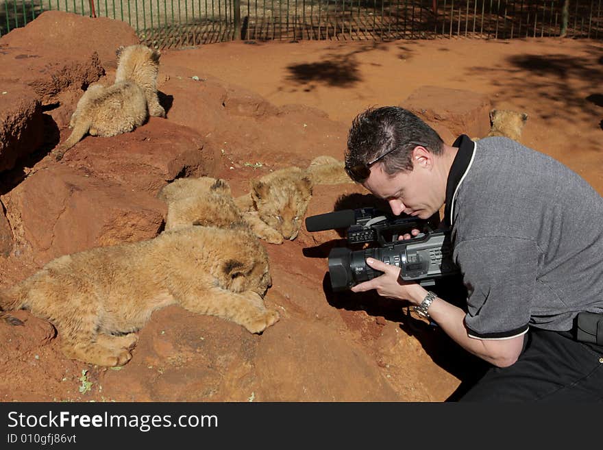 Lion Camera